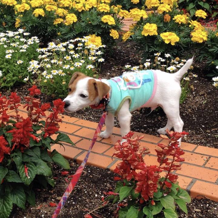 854e1c5d 6cfb 4d34 b930 5bf44d971ef8