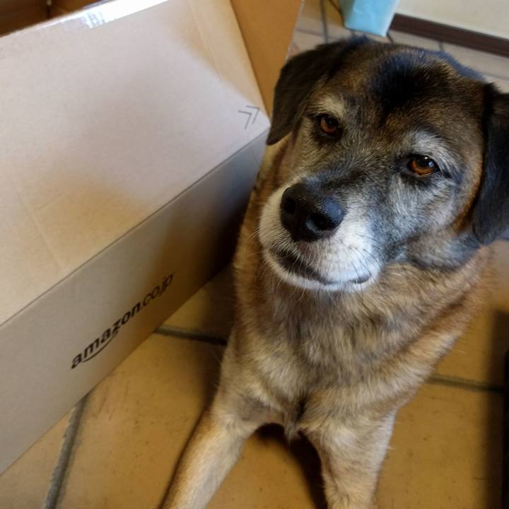 854e56cd 17c1 43f2 b481 fa8abd807854