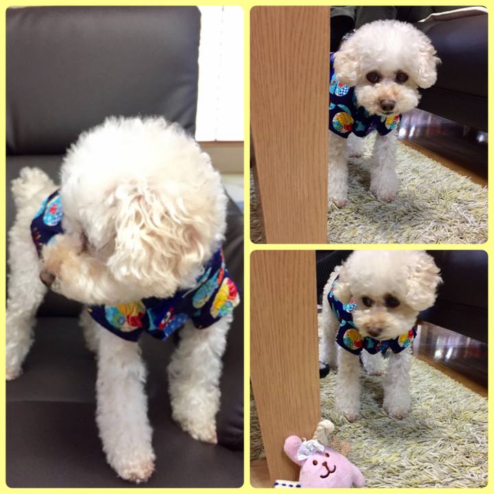 854f101a 6308 4826 b718 a6fe6d0d00e8