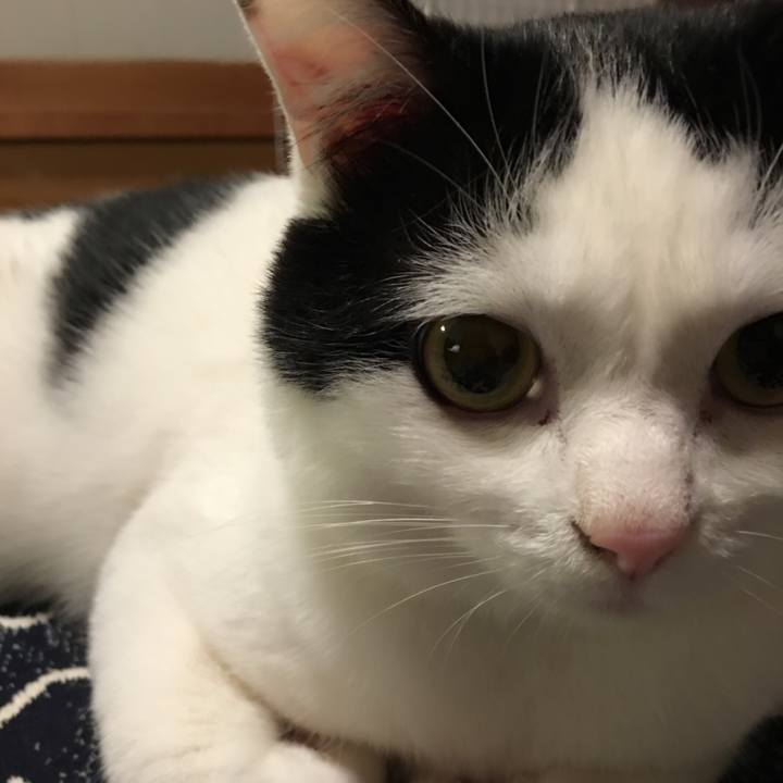 854f2dd7 a736 4896 9be7 064a4b44a2f6