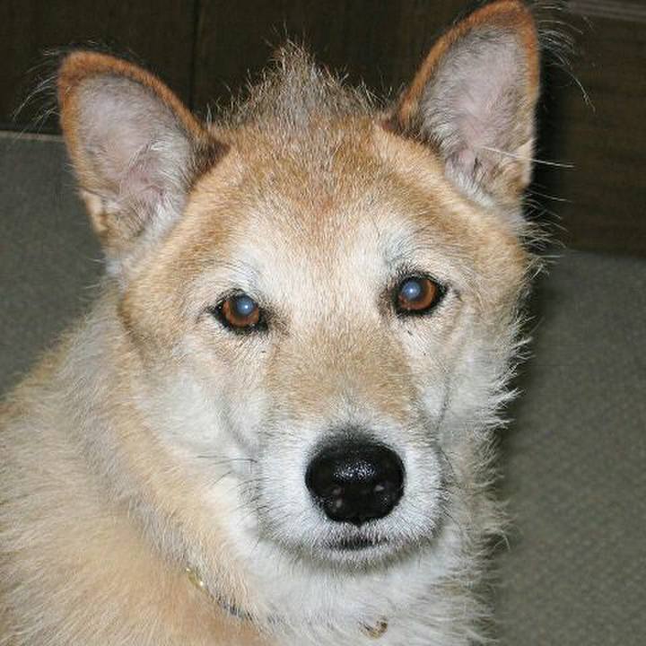 854f872b 5546 423b bb7b 3264f85567d0