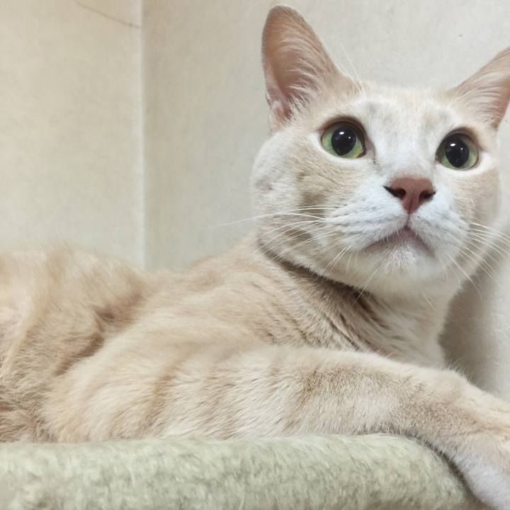 854fd9ee e82b 4cec 89ee 445dd8212e21