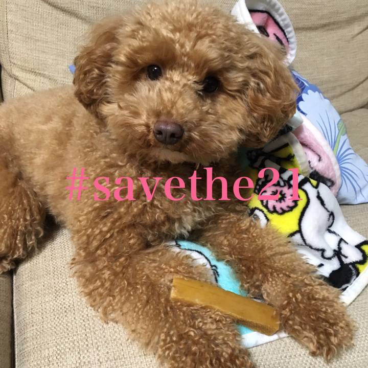 854ff495 8754 41ec a22b d06c9a19b971