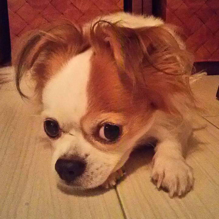 85501d2a 2d35 48b5 85c4 17084b7b881c