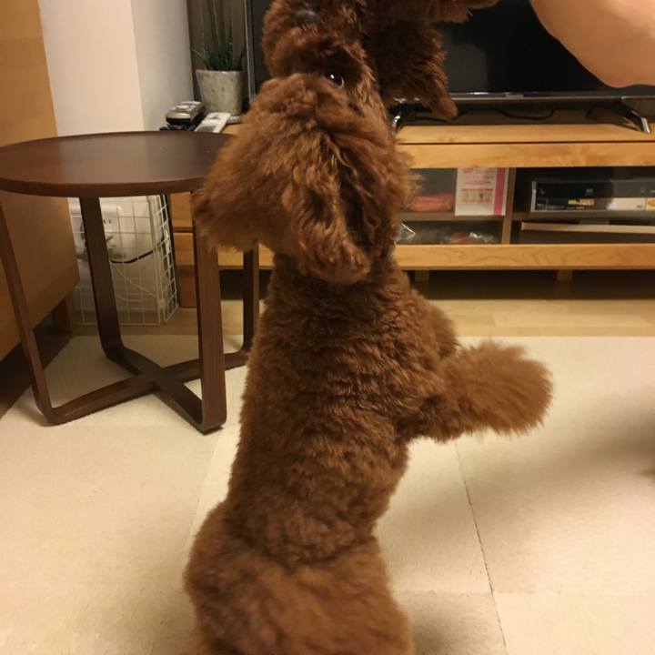 85504279 8600 4907 bee3 9f6abb585050