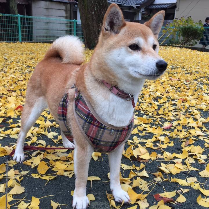 8550b0ca eeaa 469a b572 64b4f92cfc67