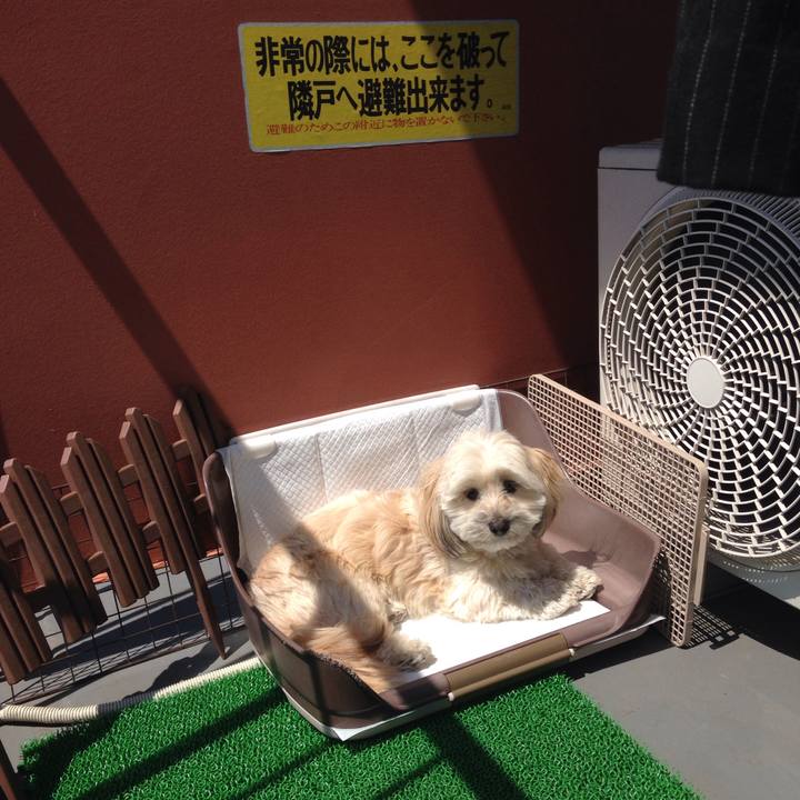 8550f9ee 1548 49f9 914e 43af8cfff30d