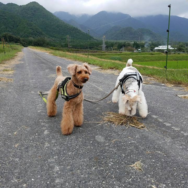 85510352 63c6 4fba 8982 999a78eadb69