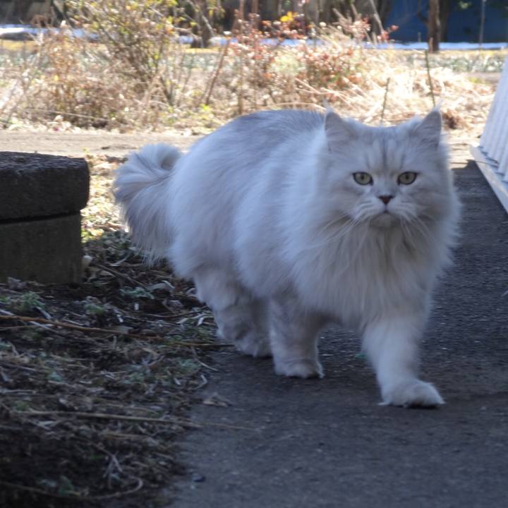 8551e6ba 0198 44d5 8ba1 cb71d6845ced