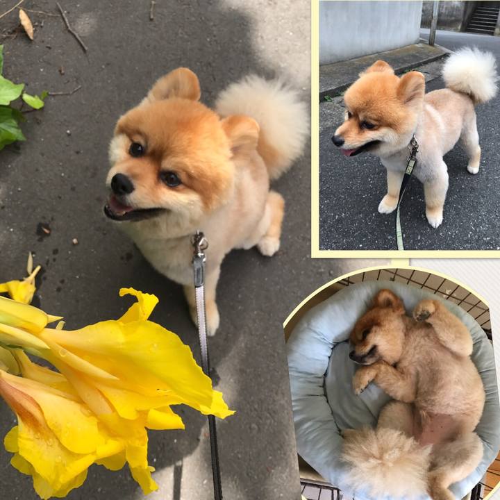 8552f297 e8db 4bb9 806c 8578152d10a4