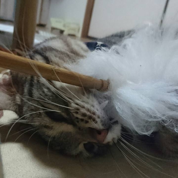 8552fa5b 90f7 48dc b862 b472942f67f1