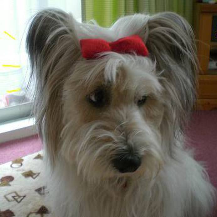 85542ab9 ae4d 4634 9602 54a628f0787d