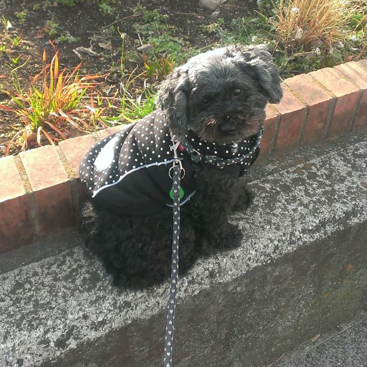 85545f8c ecf2 449d b27b 121ed7fb0040