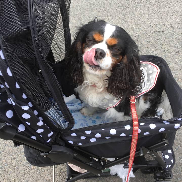 85549e93 a0ed 49e4 be09 7bd6d3fb1c81