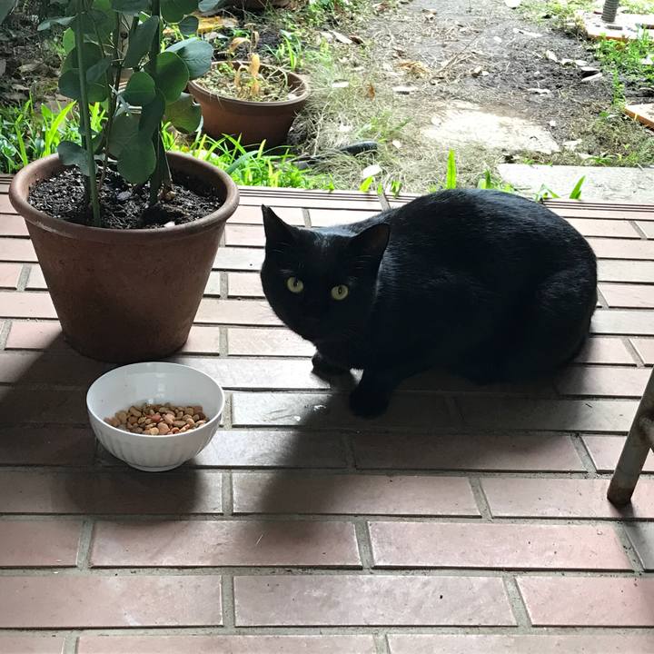 85553196 7e87 47d4 acee 5a33d21d95e9