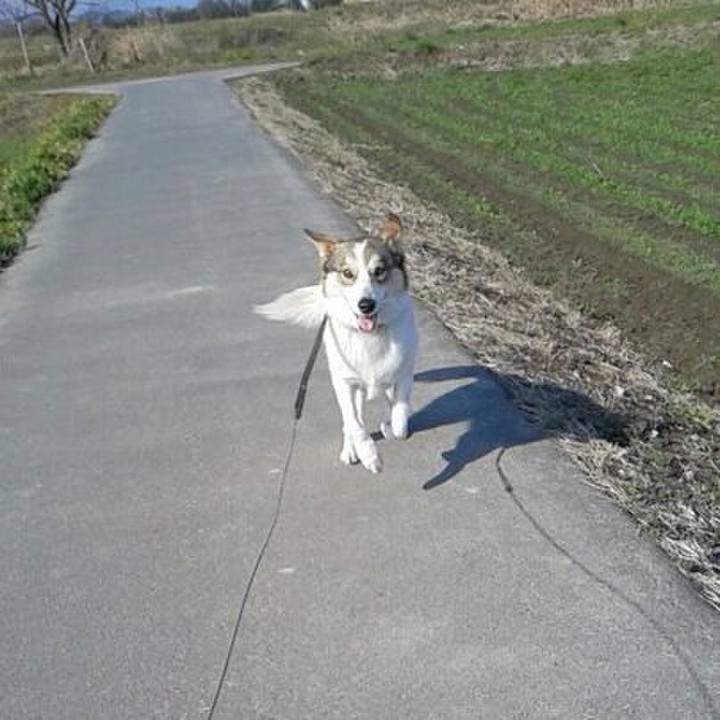 85556905 898f 4b5c b56d 682febf21996