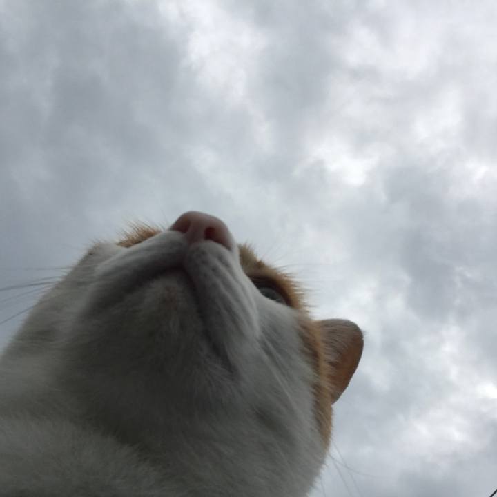 8556a963 330c 40c3 a158 fa562cfe88f2