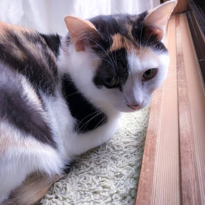 8556acb3 5769 4b01 a341 aefafb3fd8ff