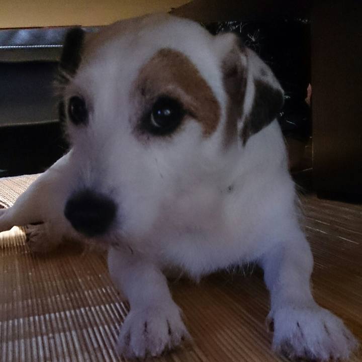 8556d17c cf02 42d0 a545 9cc750abc7af