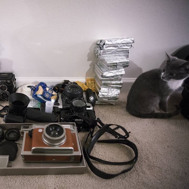 85571056 7269 494a bc0f 89edb37e7343