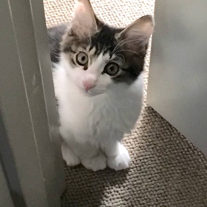 855816c7 c026 43ca 9bf8 1879544116b2