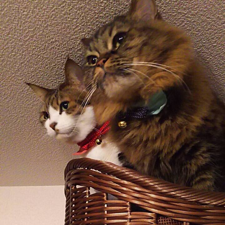 855821d0 1e5f 4fc9 9891 b75c72c1e80a