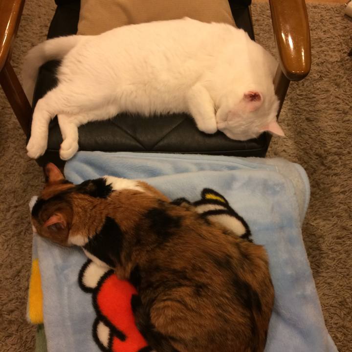 85583d37 fb92 4618 937a 83e984a7a6f5