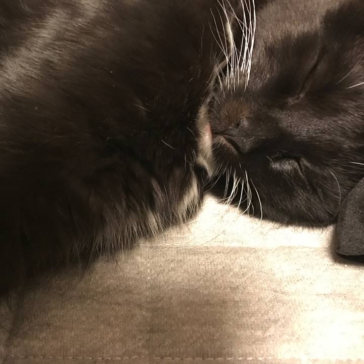 8559190f 172a 42f0 a5d3 22128db6490d