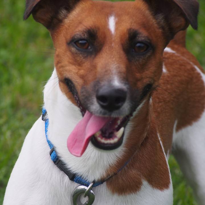 855983b9 7225 48a0 a7e3 c6c6eeee88bf