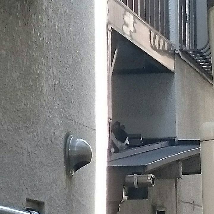 85599c50 39fc 4477 8c24 92be29286854