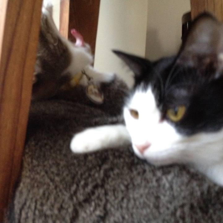 855a5bf8 b490 492b bd36 50dbbc8dad15