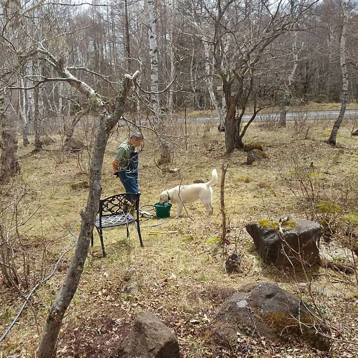 855a96ff 15af 4d49 846d bd8b38b2a8e1