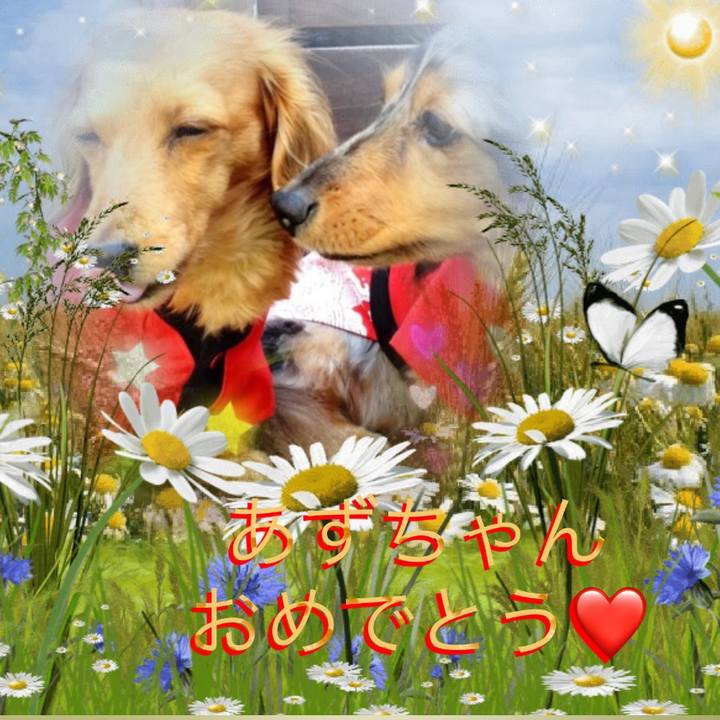 855b0035 210f 4cac 942b c6d1448fedf6