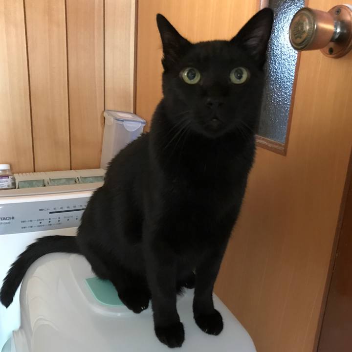 855c04cc 046a 4fbe bb47 84053938d7d9