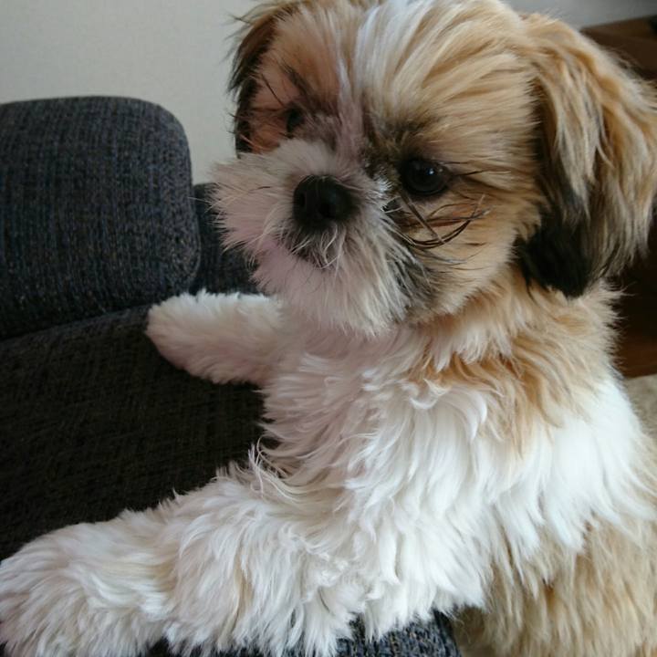 855cb938 da2b 433f a867 d7b22c494cf4