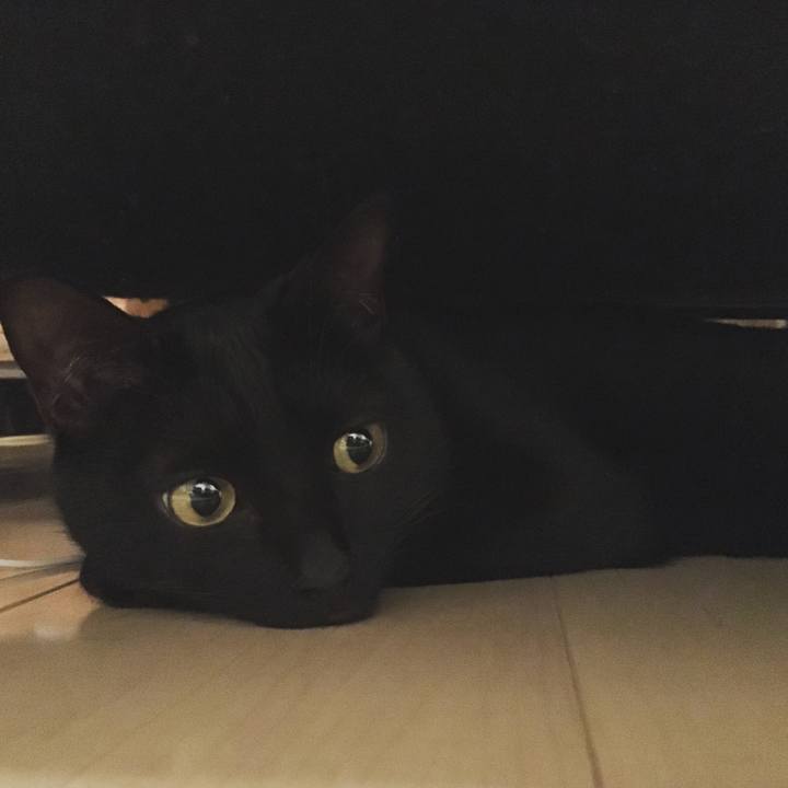 855d2ec0 6449 4757 af1f ae6d9151f3c9