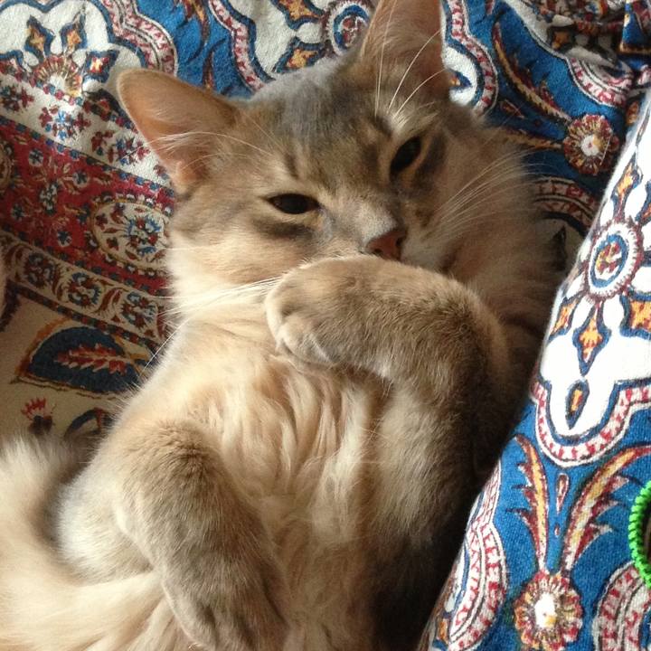 855f1fee 989b 4d60 ad58 059a66ff215f