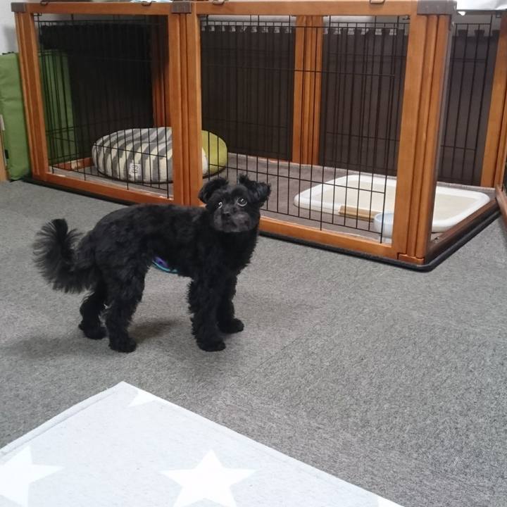 855f3a40 711d 4447 af6b 62663b8b3125