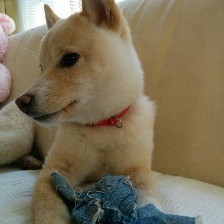 855f92ff d5b8 45b6 816f 32334fd0ca96