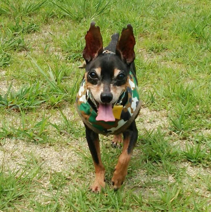 856014fb 1dca 4e22 93c9 b9325468fcc4