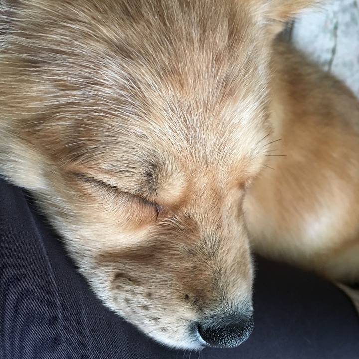 85601505 8f6c 4fdb b3dd 0aefc0ec9090