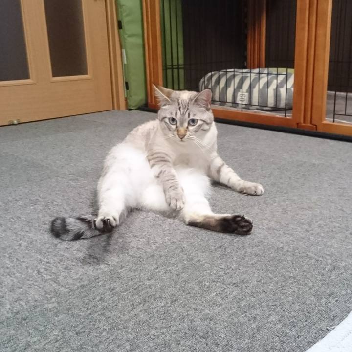 85603bc8 fbff 446e 9516 31083c717c9f