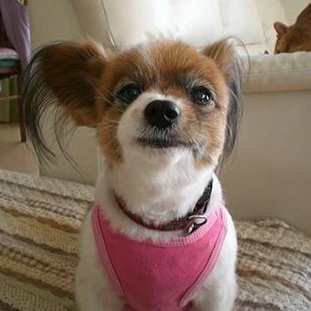 85603e84 92b7 4479 b5d3 e2e3cf56290b