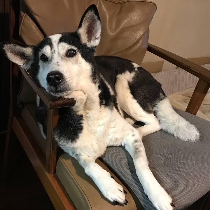 856043c3 3442 49f9 87cb a15c5e573388