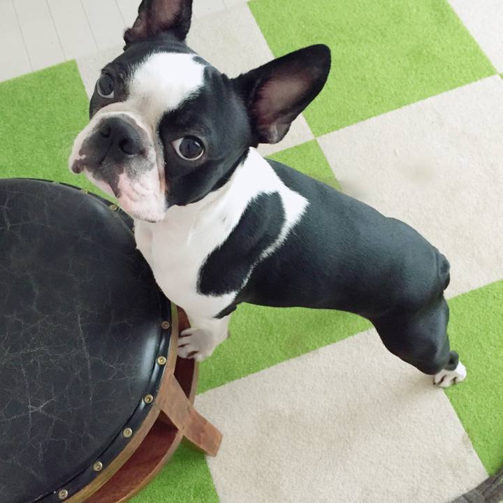 85608cc0 1055 4f96 8bd9 069d741aff8d