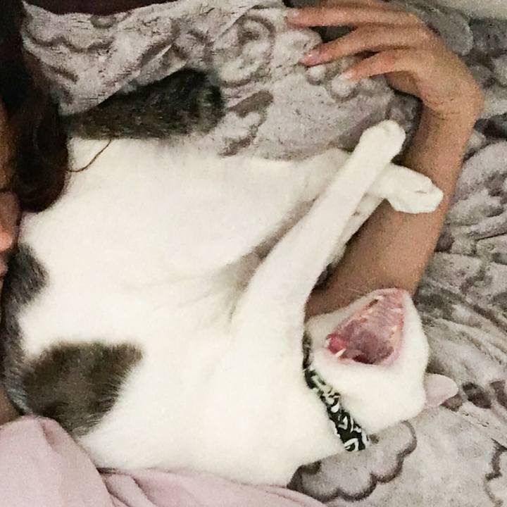 8560aa0c e057 4344 844d 93d806600407