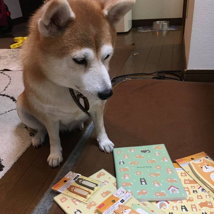 8560be86 816d 4e26 a6f2 6978969159e2