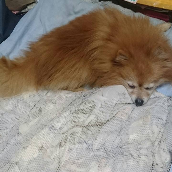 85625fa1 ae3d 4383 83c3 0e78a00bcc7e