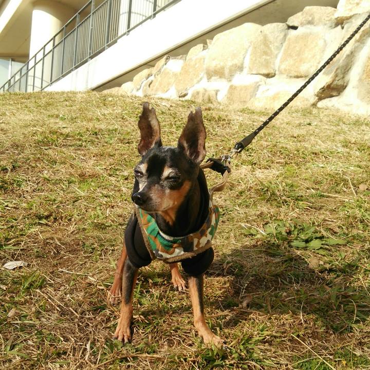 856320d4 020d 4038 9ff4 b137b2091b16