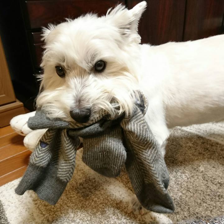 8563c647 d5c5 4cfe 8e8d 4def51f5fc72